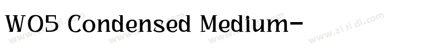 W05 Condensed Medium字体转换